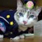 Avatar de kim.jundong.7080