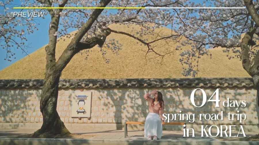 4 Day Ultimate Korea Spring Road Trip Itinerary 1 1
