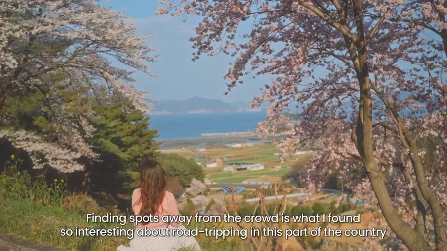 4 Day Ultimate Korea Spring Road Trip Itinerary 12