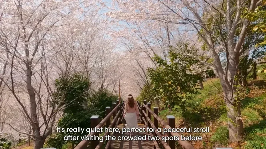 4 Day Ultimate Korea Spring Road Trip Itinerary 16 1