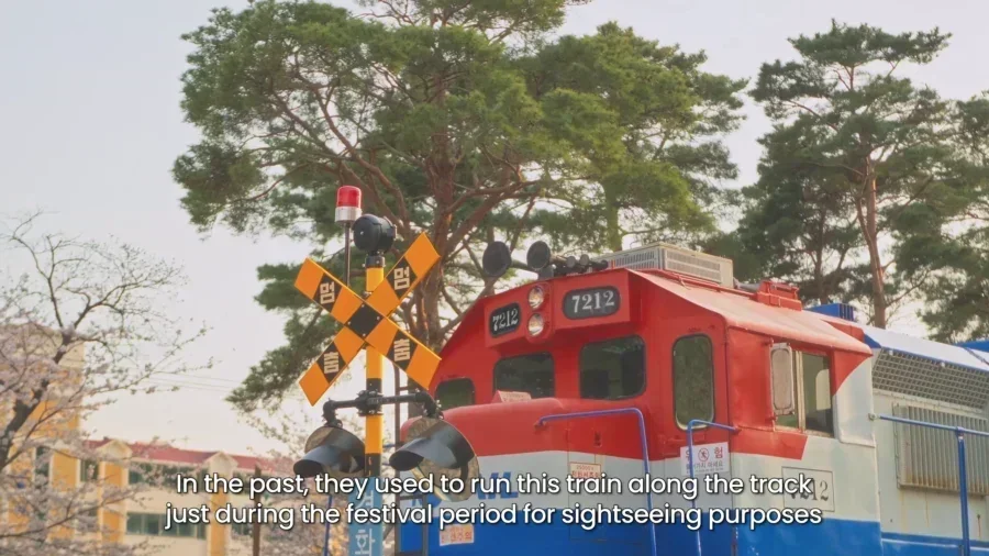 4 Day Ultimate Korea Spring Road Trip Itinerary 18 1