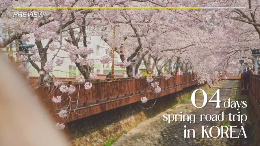 4 Day Ultimate Korea Spring Road Trip Itinerary 22 1