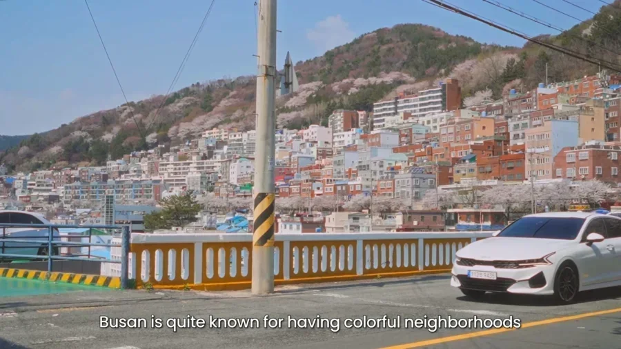 4 Day Ultimate Korea Spring Road Trip Itinerary 3