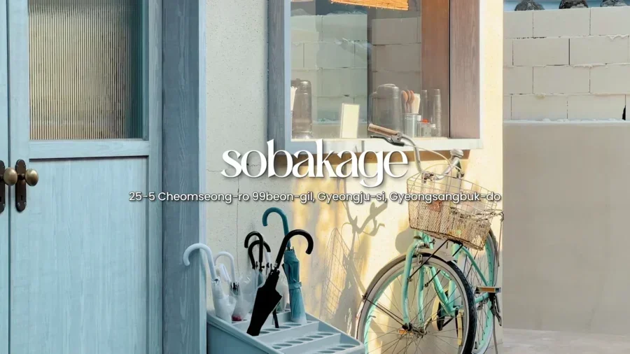 4 Day Ultimate Korea Spring Road Trip Itinerary 5