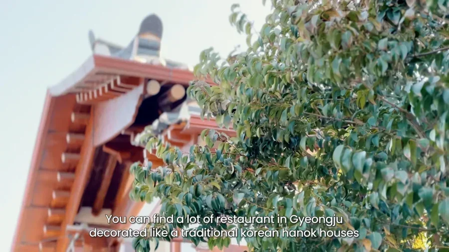 4 Day Ultimate Korea Spring Road Trip Itinerary 6