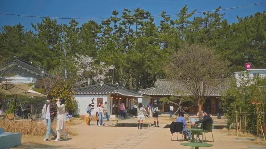 4 Day Ultimate Korea Spring Road Trip Itinerary 8