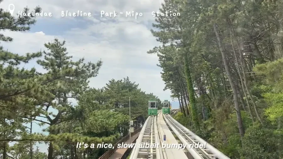 4 Day Ultimate Korea Spring Road Trip Itinerary for Busan Gyeongju Jinhae and Namhae 2