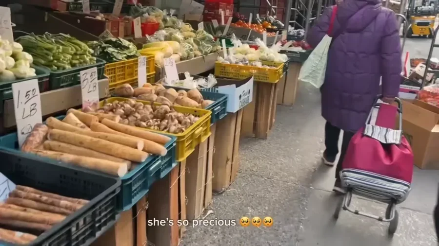 Alone in New York🗽 What I Eat Coffee Hopping Exploring Shopping Cozy Vlog NYC VLOG Ep. 1 19 56 screenshot