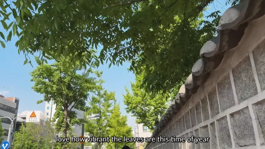 Life in Seoul Coffee shops Pop Up stores Rainy day Vintage Flea Market Korea VLOG 15 55 screenshot