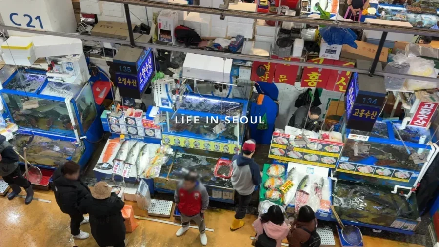 Seoul Travel Winter Delicacies Hip Spots from Yongsan to Noryangjin 1