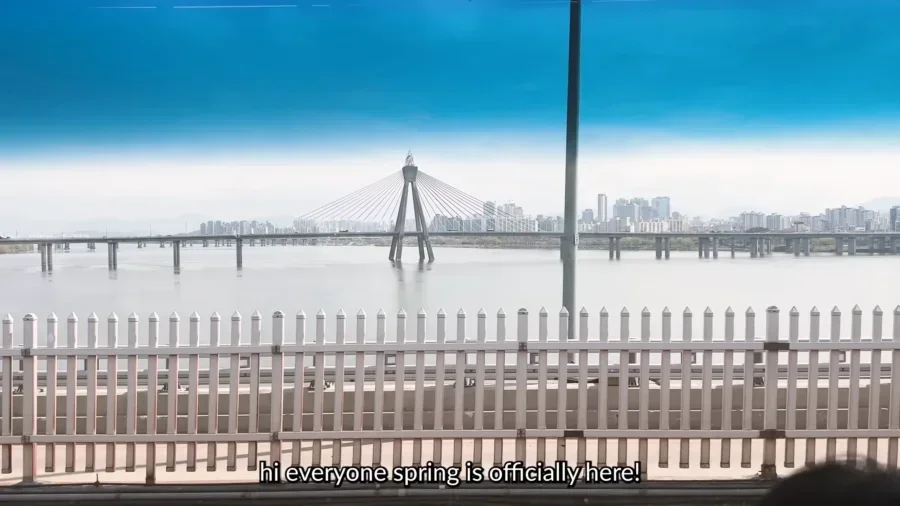 TOP 10 Best Cherry Blossom Spots in Seoul 🌸 Aesthetic cafes Hangang picnic Spring in Seoul VLOG 0 34 screenshot