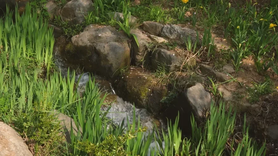 TOP 10 Best Cherry Blossom Spots in Seoul 🌸 Aesthetic cafes Hangang picnic Spring in Seoul VLOG 17 36 screenshot