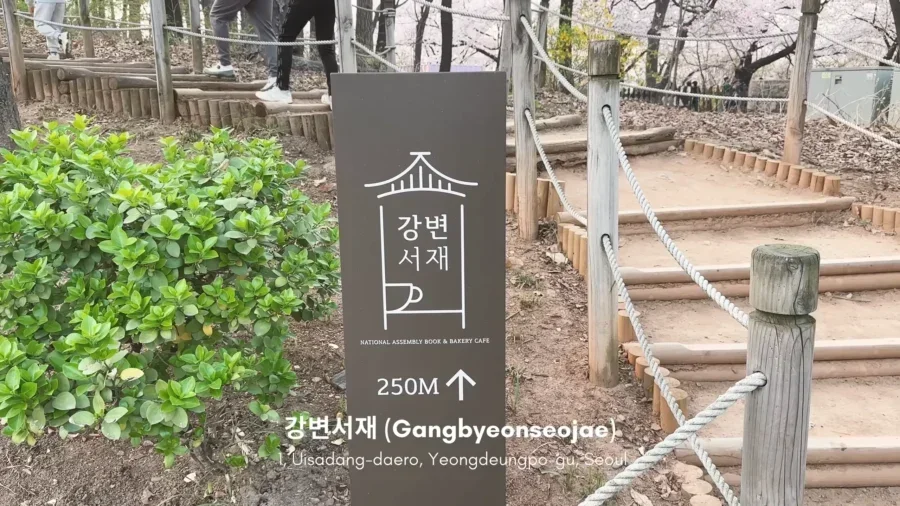 TOP 10 Best Cherry Blossom Spots in Seoul 🌸 Aesthetic cafes Hangang picnic Spring in Seoul VLOG 22 6 screenshot