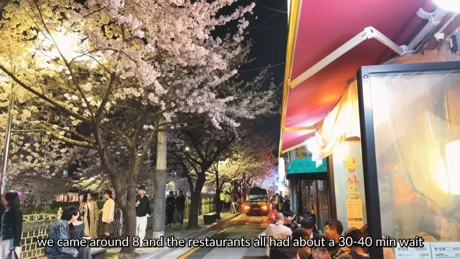 TOP 10 Best Cherry Blossom Spots in Seoul 🌸 Aesthetic cafes Hangang picnic Spring in Seoul VLOG 6 5 screenshot