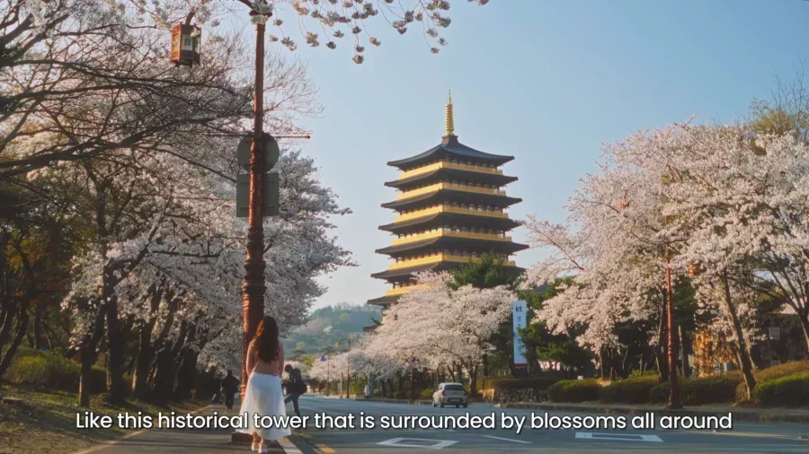 Top 10 Most Stunning Seoul Cherry Blossom Spots to Visit Right Now 1