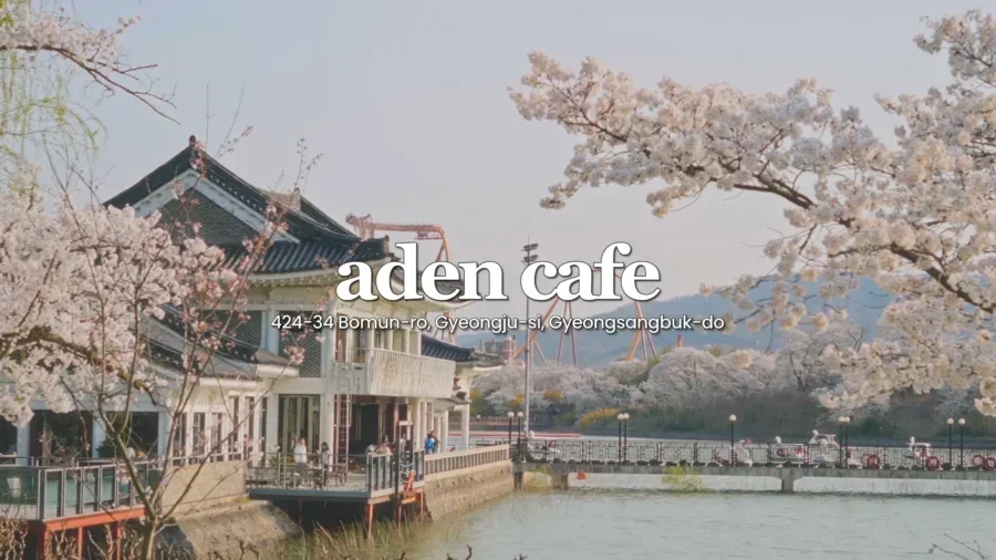 Top 10 Most Stunning Seoul Cherry Blossom Spots to Visit Right Now 13