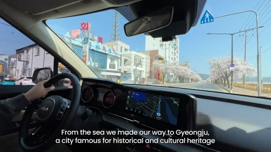 Top 10 Most Stunning Seoul Cherry Blossom Spots to Visit Right Now 18