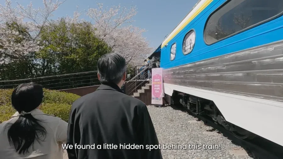 Top 10 Most Stunning Seoul Cherry Blossom Spots to Visit Right Now 21