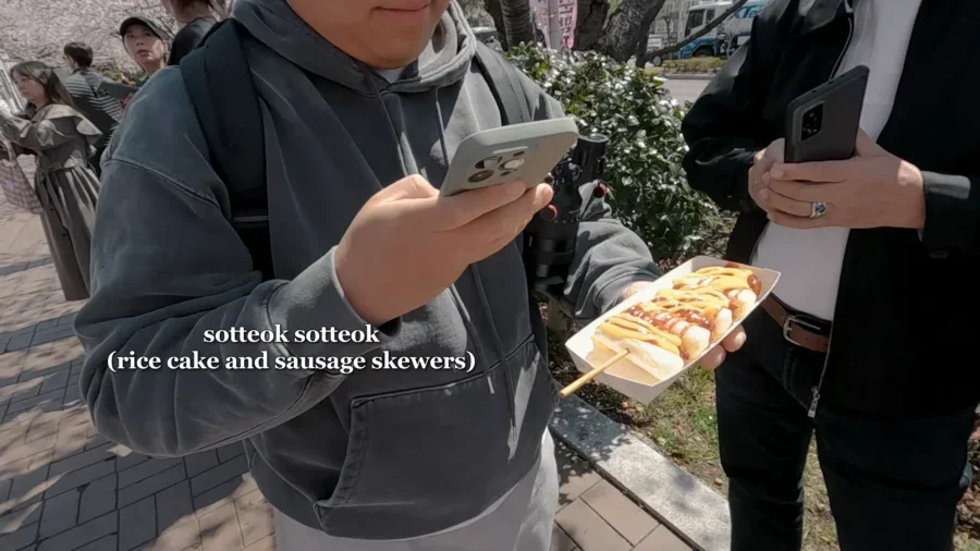 Top 10 Most Stunning Seoul Cherry Blossom Spots to Visit Right Now 22