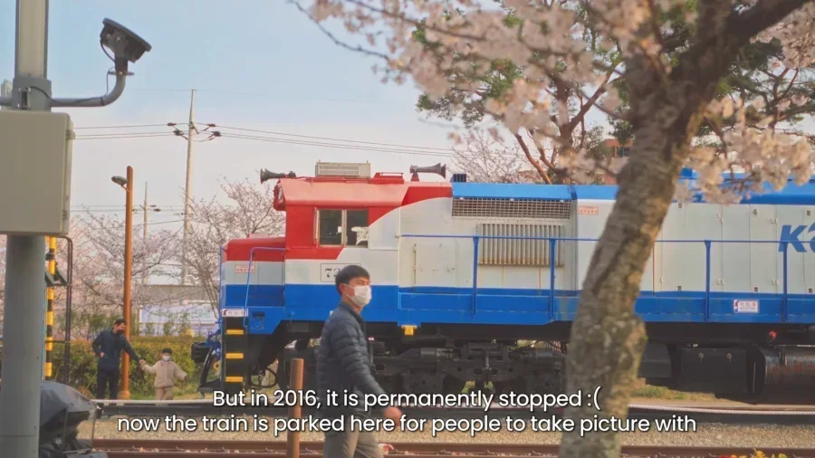 Top 10 Most Stunning Seoul Cherry Blossom Spots to Visit Right Now 23