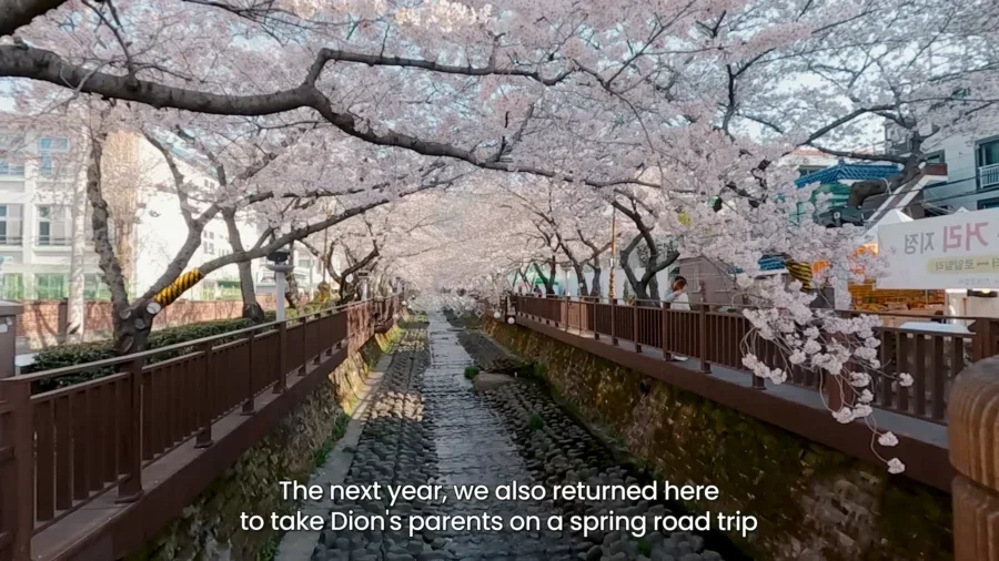 Top 10 Most Stunning Seoul Cherry Blossom Spots to Visit Right Now 26