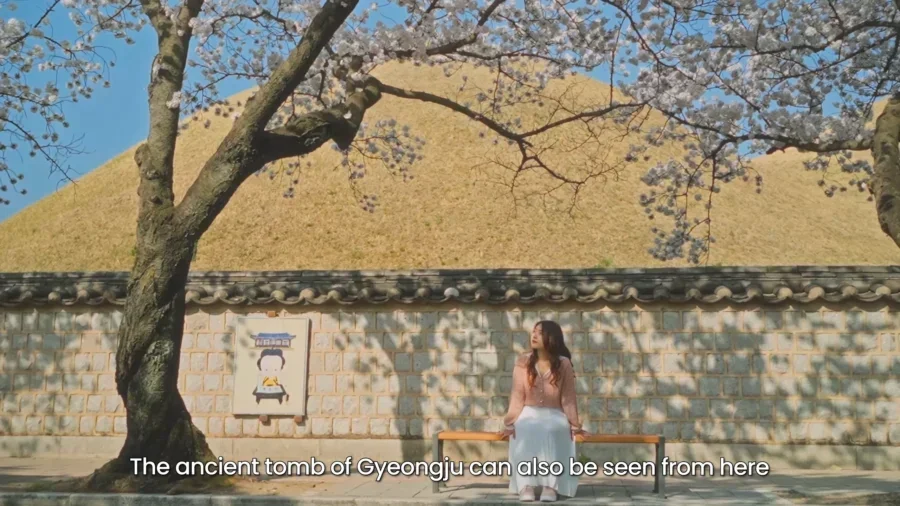 Top 10 Most Stunning Seoul Cherry Blossom Spots to Visit Right Now 7