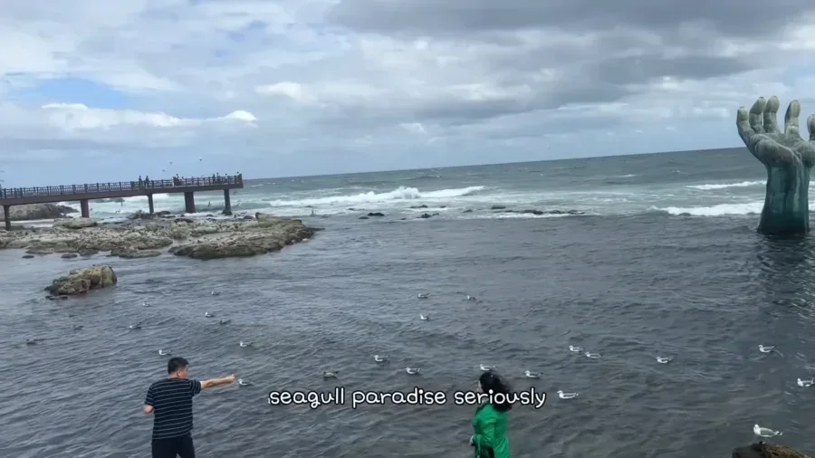 Vlog I German Dutch Girlies on Tour with no expectations to Pohang 🇰🇷 독일과 네덜랜드 친구들 포항시에 갔다 8 25 screenshot 2