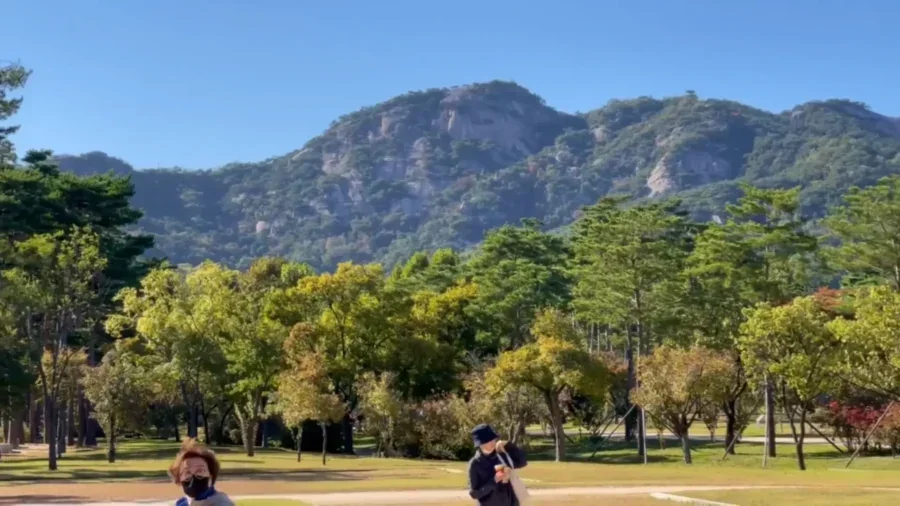 景福宮指南:訪問首爾皇家心臟的提示(交通、入場及住宿) 16 We Visited Seouls INCREDIBLE Palace Gyeongbokgung 경복궁 Tour Guide 5 13 screenshot