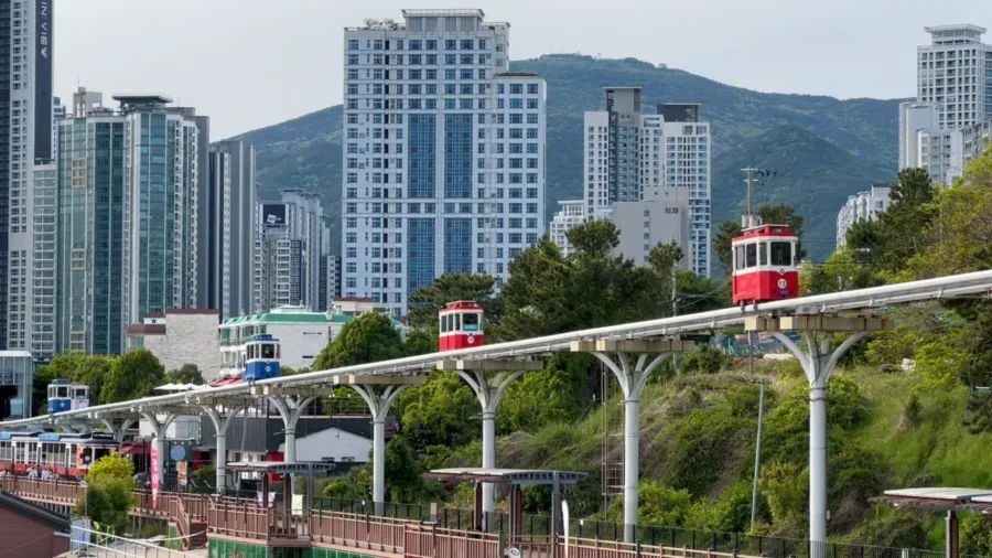 alone in busan a 3 day solo travel itinerary to ca 56418