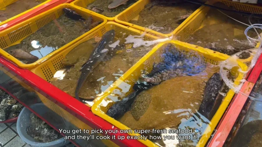 alone in busan a 3 day solo travel itinerary to ca 56419