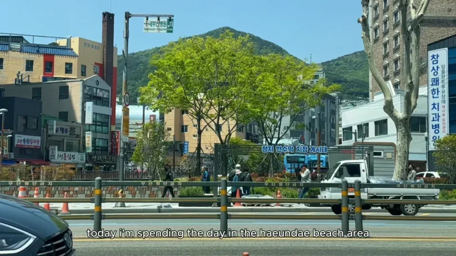 alone in busan a 3 day solo travel itinerary to ca 56420