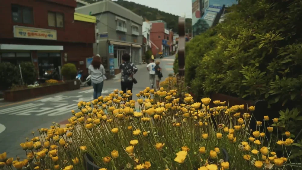 Village culturel de Gamcheon en Corée : Comment visiter les murs arc-en-ciel, le Petit Prince & les sentiers artistiques de Busan 6 gamcheon culture village korea how to visit rainbo 55504