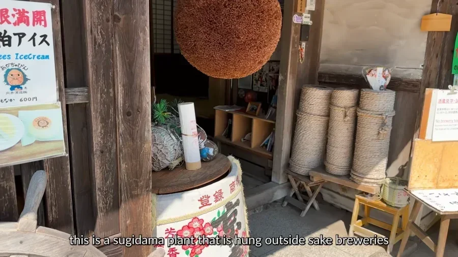 海辺の京都ガイド2026 日本のヴェネツィアと天の橋を発見する 23 kyoto japan by the sea guide 2026 discover the ven 55671