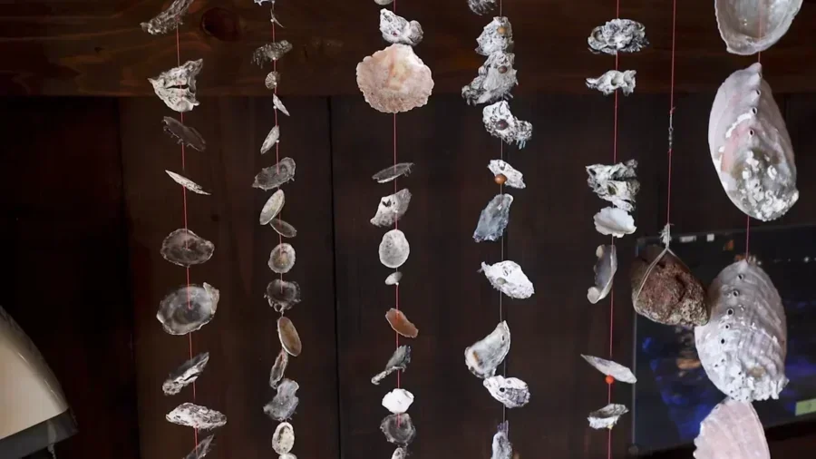 海辺の京都ガイド2026 日本のヴェネツィアと天の橋を発見する 10 kyoto japan by the sea guide 2026 discover the ven 55707