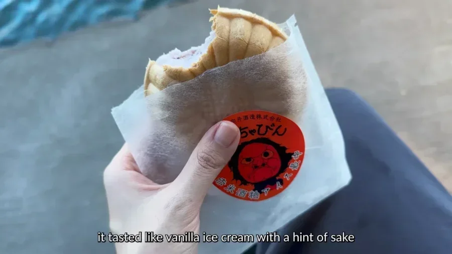 海辺の京都ガイド2026 日本のヴェネツィアと天の橋を発見する 16 kyoto japan by the sea guide 2026 discover the ven 55711