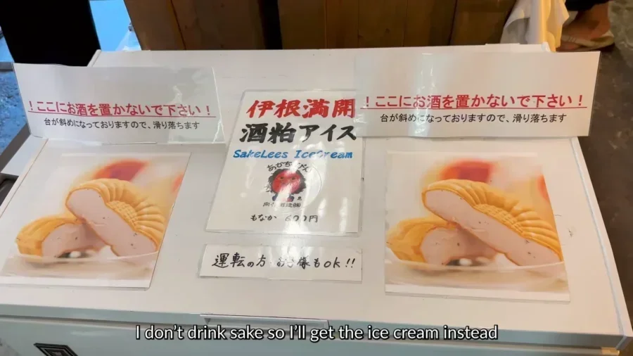 海辺の京都ガイド2026 日本のヴェネツィアと天の橋を発見する 21 kyoto japan by the sea guide 2026 discover the ven 55712