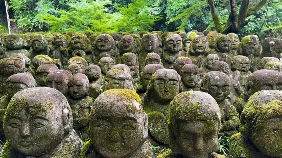 kyoto japan travel guide 2026 new luxury hotels hi 55636