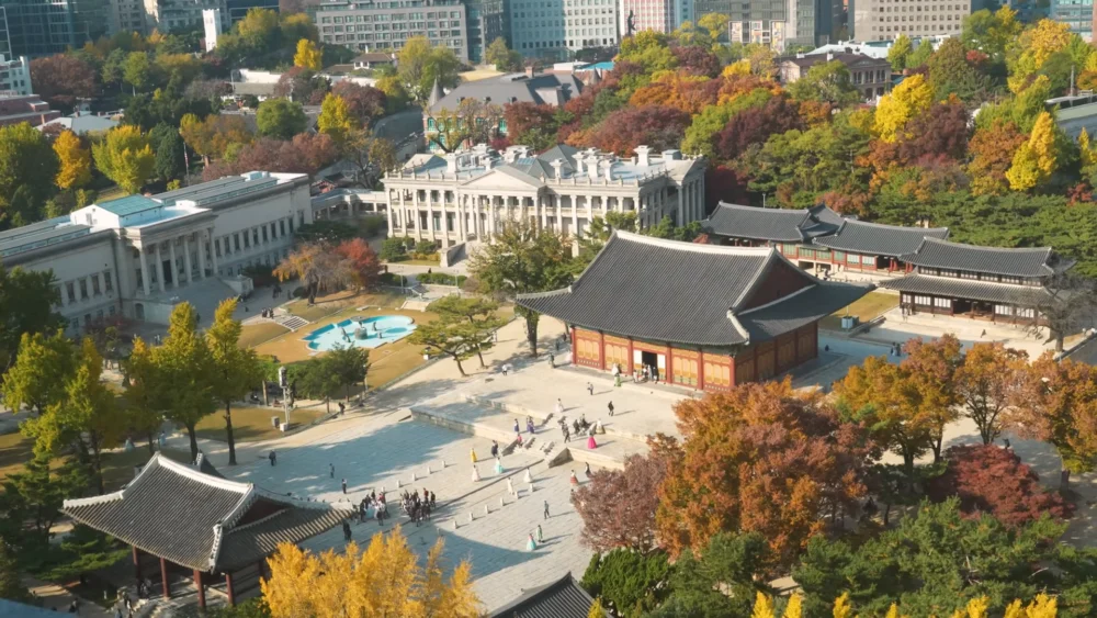 N Seoul Tower Korea 2026 Namsan Hiking Trails, Love Locks & Night Views Guide