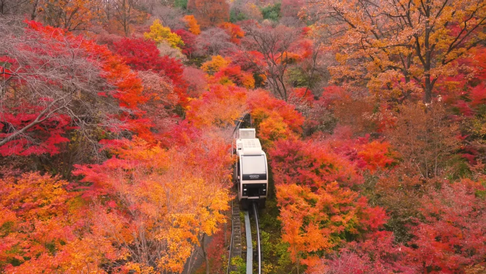 n seoul tower korea 2026 namsan hiking trails love 55520