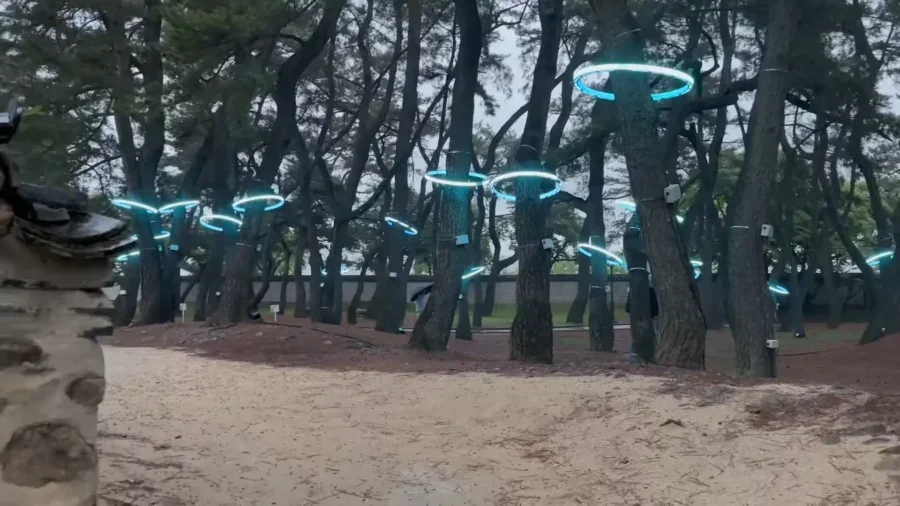 📍Gyeongju Korea Travel Guide 12 Things To Do Itineraries Cheomseongdae Bulguksa Gyeongju World 1 41 screenshot