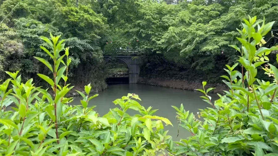 📍Gyeongju Korea Travel Guide 12 Things To Do Itineraries Cheomseongdae Bulguksa Gyeongju World 4 1 screenshot