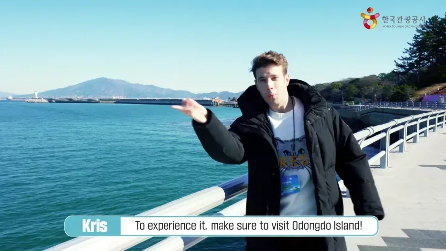 Yeosu Travel Guide: Romantic Night Seas, Essential Transport Tips, and Best Stays in Korea